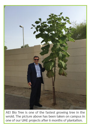 Bio Tree - 6 Months growth
